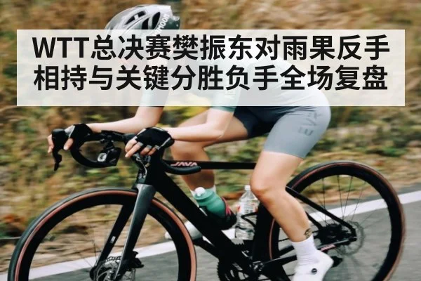 WTT总决赛樊振东对雨果反手相持与关键分胜负手全场复盘